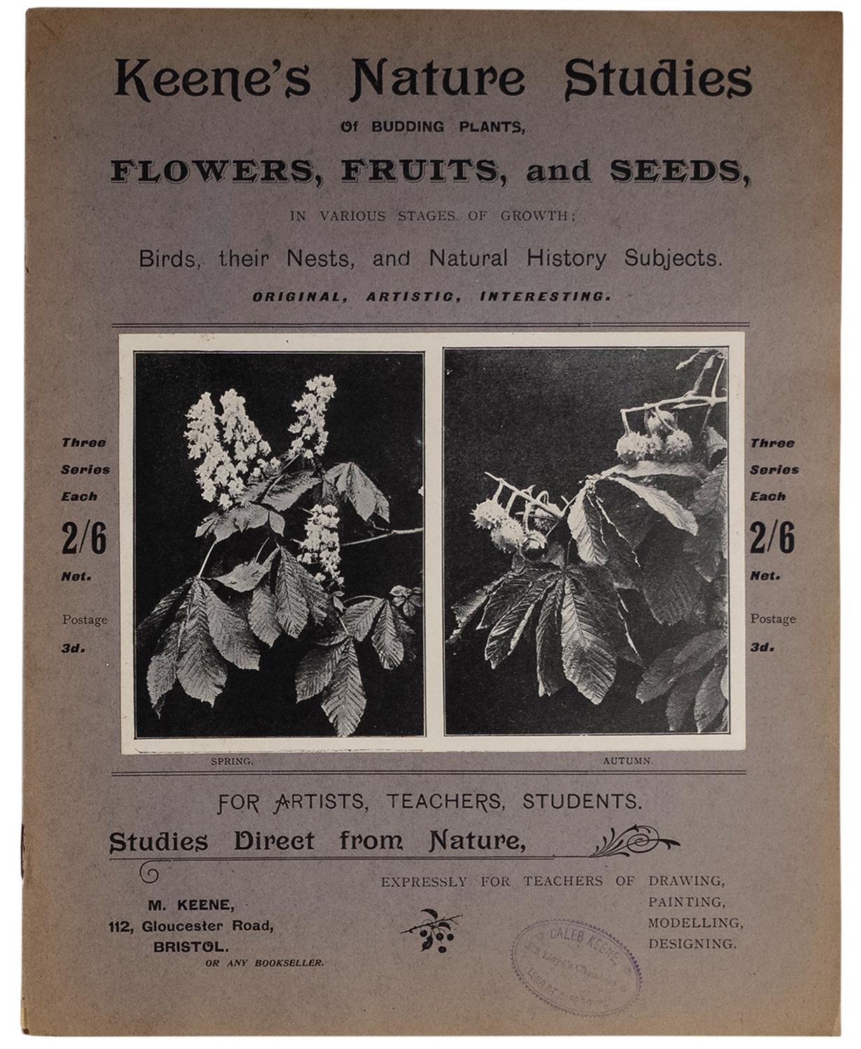 A poster with the title “Keenes Nature Studies,” advertising classes to learn about budding plants such as flowers, fruits and seeds. Two photographs of leafy flower plants in the middle. Halftone print by Minna Keene.