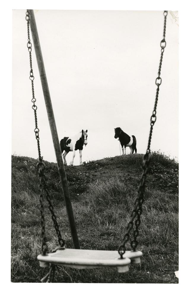 Photo of a swing with two horses on a hill in the background.