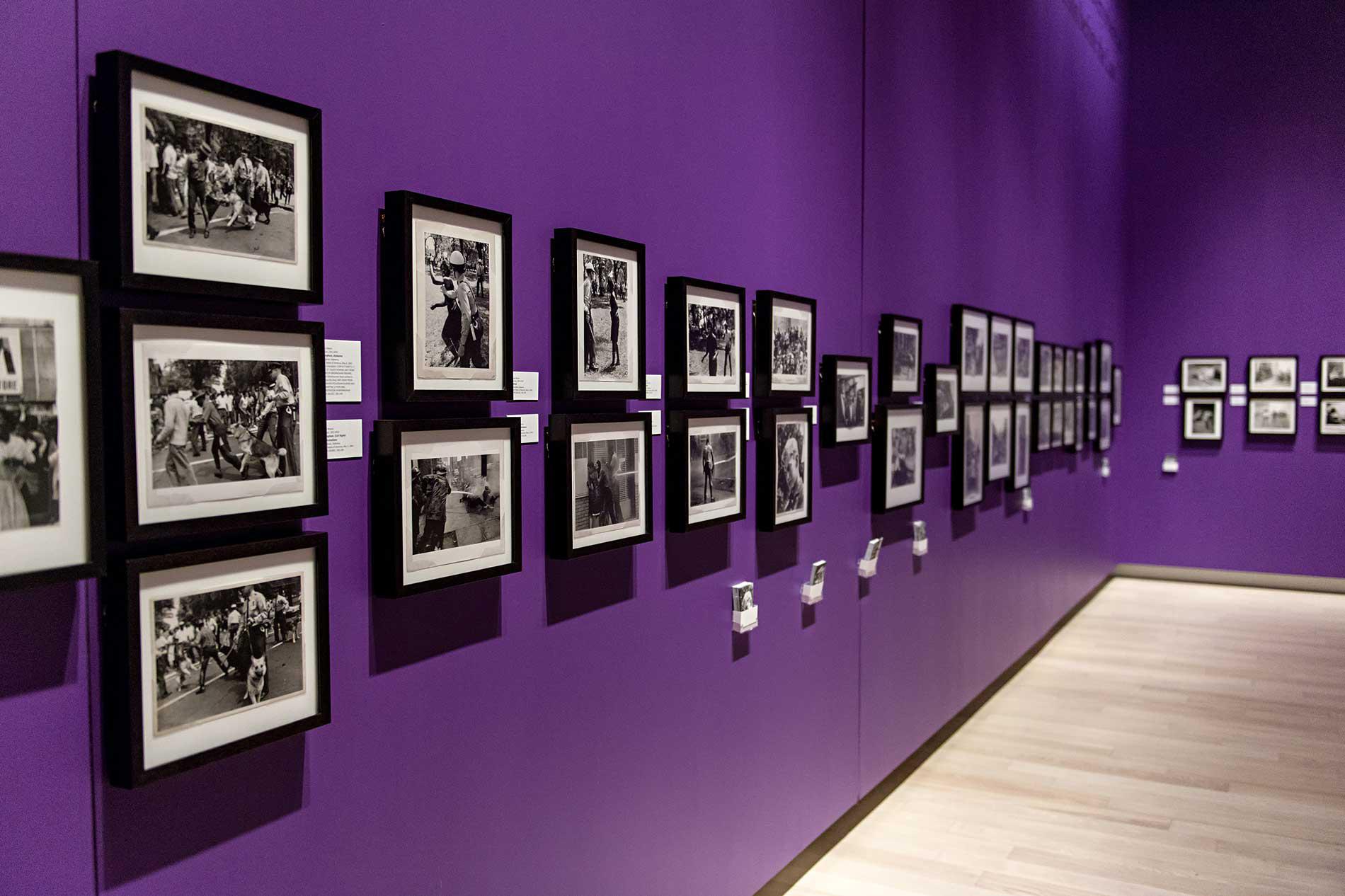 Multiple photographs in black frames hung on a bright purple gallery wall