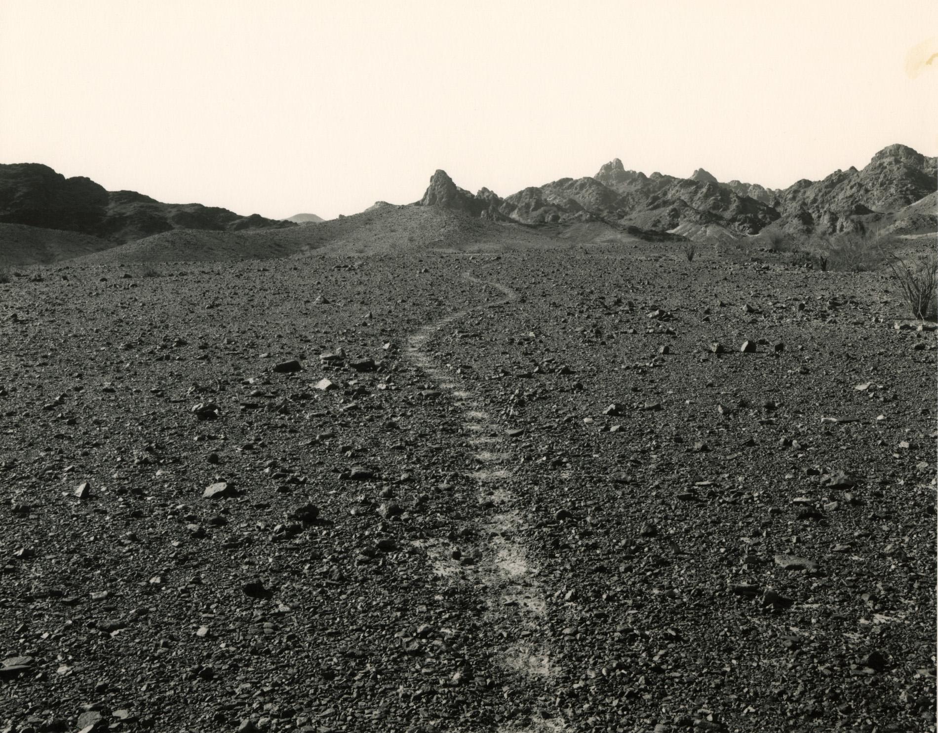 A trail of footprints through a large dirt field