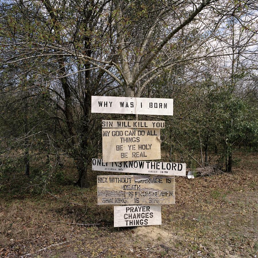 A series of wooden signs attached to a tree, reading "why was I born", "sin will kill you", "my God can do all things be ye Holy be real", "Prayer changes things"