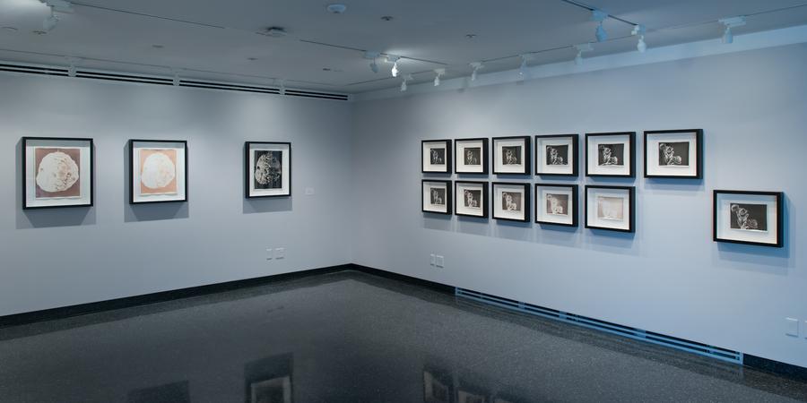 Black and white photos in black frames, arranged in two straight lines on a white wall