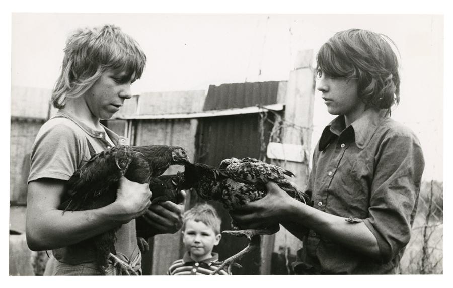 Two boys holding chickens up to each other as a young boy looks on.