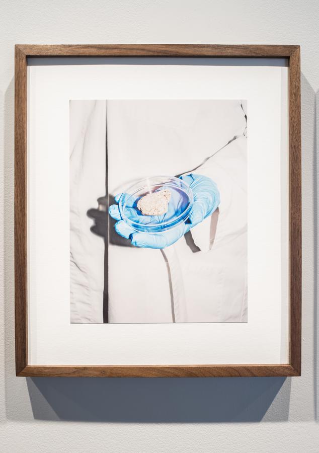 Photograph of a person wearing a lab coat and a blue rubber glove holding a small clear dish. The dish holds a small rock