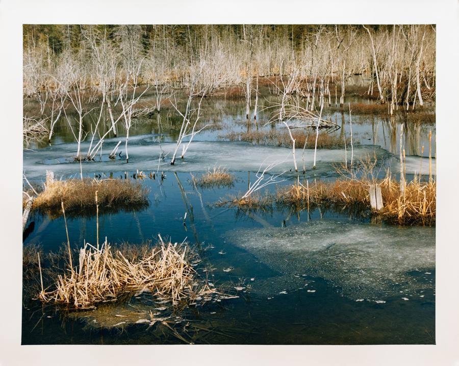 Photograph by Edward Burtynsky. A marsh in winter.