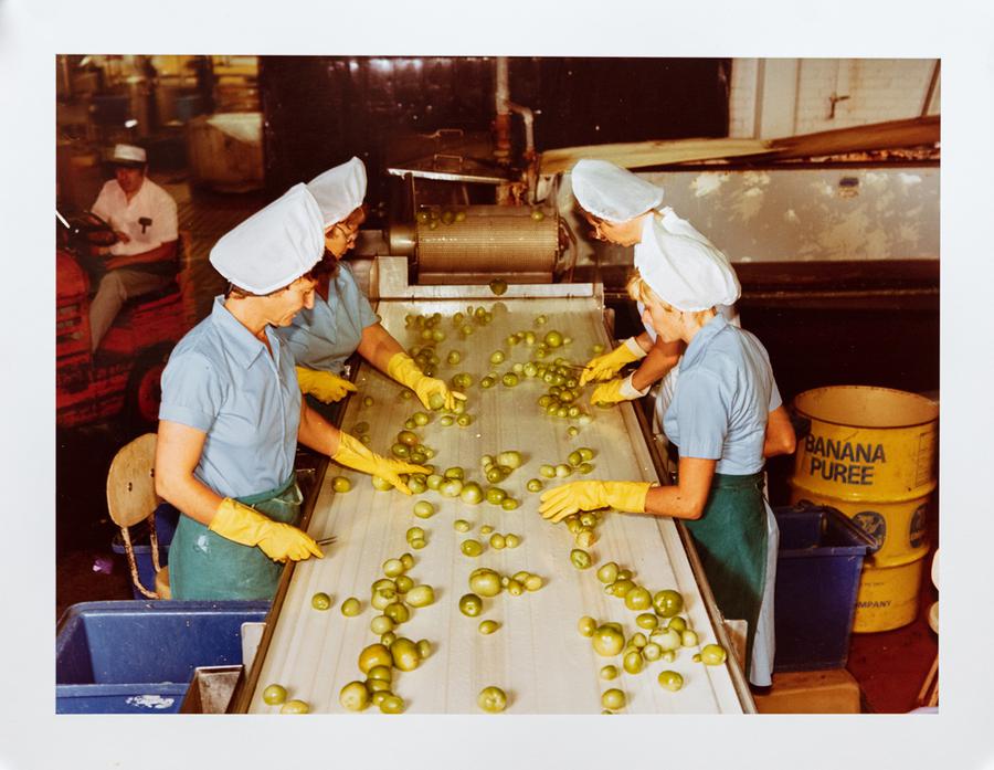 Photograph by Edward Burtynsky. Women wearing gloves, aprons and hats, inspect fruit on a conveyed belt.