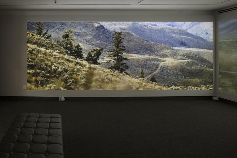 A projection of a grassy hillside covers a white wall. In the room, a black leather bench sits in the foreground